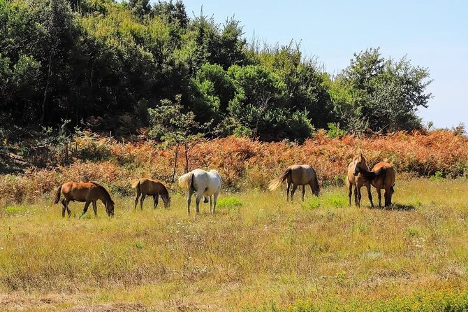 Cape of Rodon & Bunkers Day Tour Adventure from Durres - Exploring Skanderbeg Castle: A Fortress of Heroic Legacy