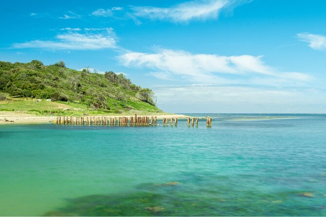 Cape of Rodon Full-Day Private Tour from Tirana - Key Points