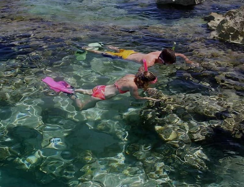 Cape of Rodon, Hiking to Castle, Beach, Wine testing tour! - Frequently Asked Questions