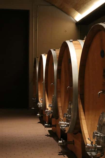 Cape Sounion: Dream Wine Taste & Sounio Tour with tickets - Who Will Appreciate This Tour Most