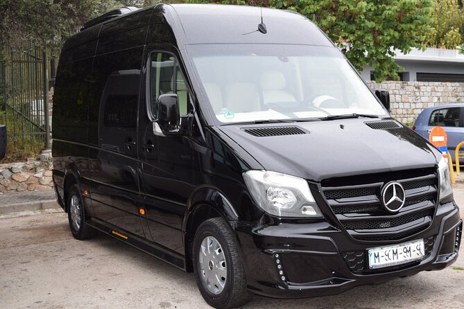 Cape Sounion Private Tour (up to 11 people) - Transport and Vehicle Options for Comfort and Flexibility