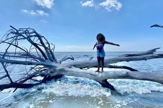 Capers Island Wildlife Exploration - Birdwatching and Shelling at Capers Island