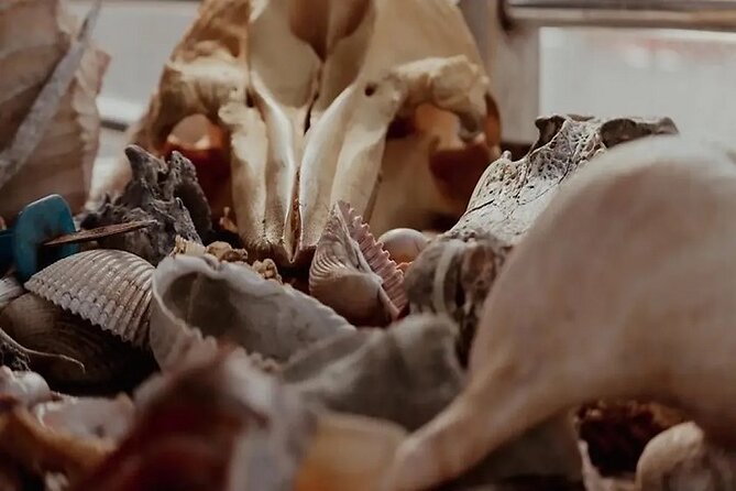 Capers Island Wildlife Exploration - Weather and Cancellation Policies