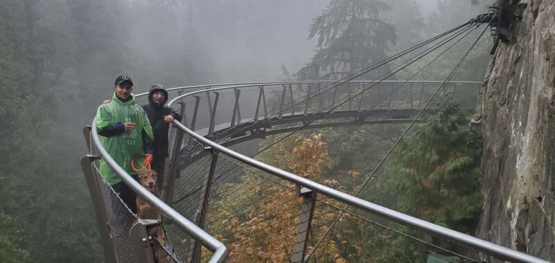 Capilano Br+Granville Isl+Capilano Hatchery+Lynn Canyon Tour - Discovering the Capilano Lush Rainforest