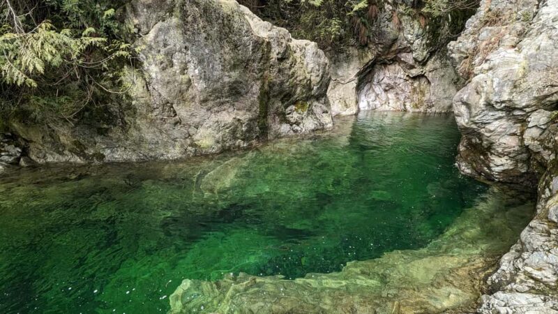 Capilano Br+Granville Isl+Capilano Hatchery+Lynn Canyon Tour - Exploring Granville Island’s Cultural Hub