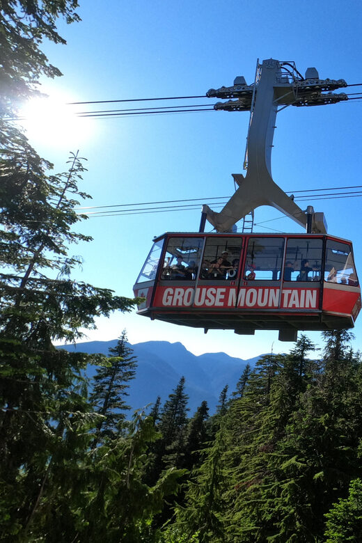 Capilano Br+Granville Isl+Capilano Hatchery+Lynn Canyon Tour - Practical Details and Tour Logistics