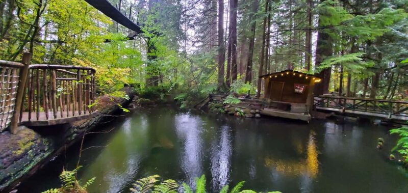 Capilano Br+Granville Isl+Capilano Hatchery+Lynn Canyon Tour - Value and Booking Flexibility