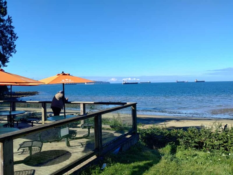 Capilano Br+Grouse Mtn+Dam+Lake&Hatcher/5in1/Small Group/Car - Experience the Majesty of Grouse Mountain