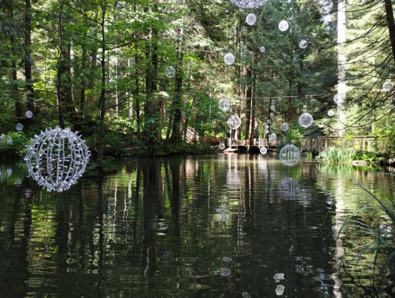 Capilano Br+Grouse Mtn+Dam+Lake&Hatcher/5in1/Small Group/Car - Visit the Capilano Salmon Hatchery
