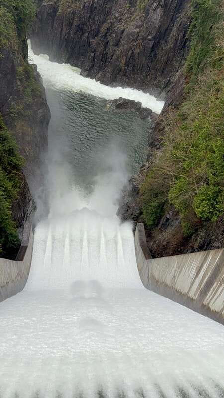 Capilano Br+Grouse Mtn+Dam+Lake&Hatcher/5in1/Small Group/Car - Who Will Enjoy This Tour Most