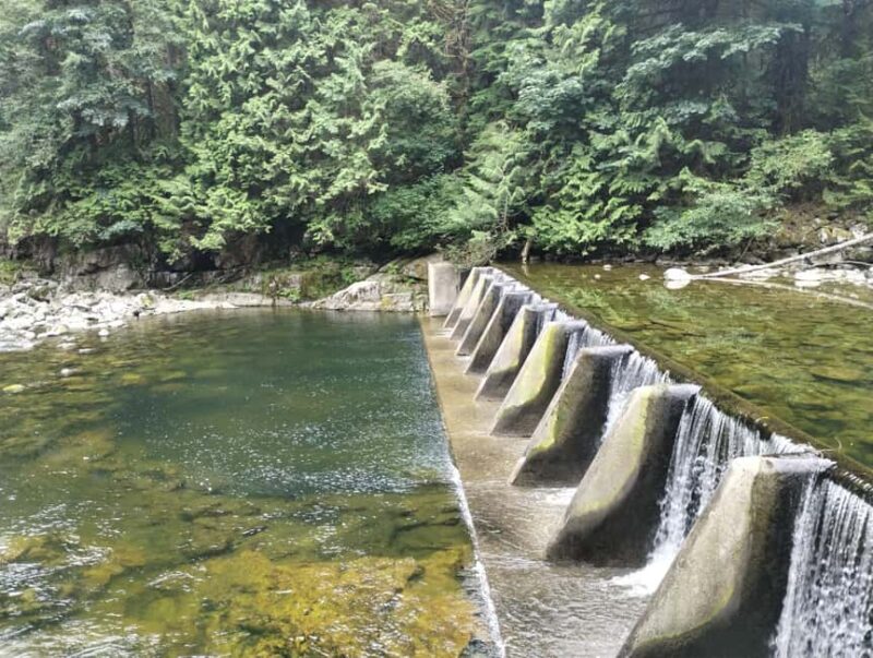 CAPILANO BR+GROUSE Mtn+STANLEY P+DAM+LAKE+HATCHERY/CAR/9in1 - Discover the Best of Vancouver in a Luxurious Private Car Tour