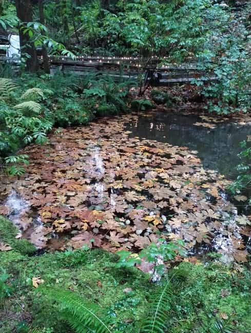 CAPILANO BR+GROUSE Mtn+STANLEY P+DAM+LAKE+HATCHERY/CAR/9in1 - Admiring the Cleveland Dams Grandeur and Views