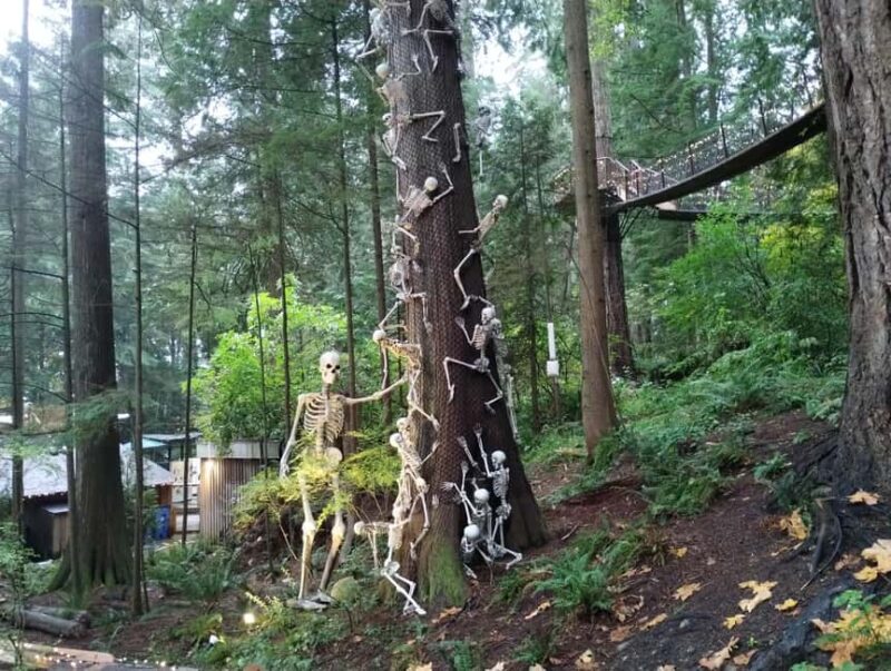 CAPILANO BR+GROUSE Mtn+STANLEY P+DAM+LAKE+HATCHERY/CAR/9in1 - Why This Tour Stands Out in Vancouver