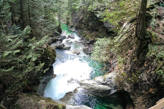 Capilano Bridge+Granville Isl+ Capilano Hatchery+Lynn Canyon Tour - What’s Not Included and Considerations for Booking