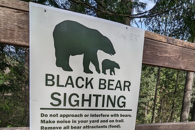 Capilano Bridge+Granville Isl+ Capilano Hatchery+Lynn Canyon Tour - Final Thoughts on the Vancouver Tour Experience