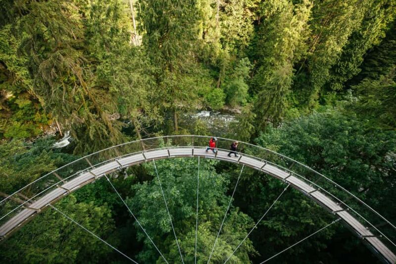 Capilano Suspension Bridge Canyon Lights & 4 Top highlights - Key Points