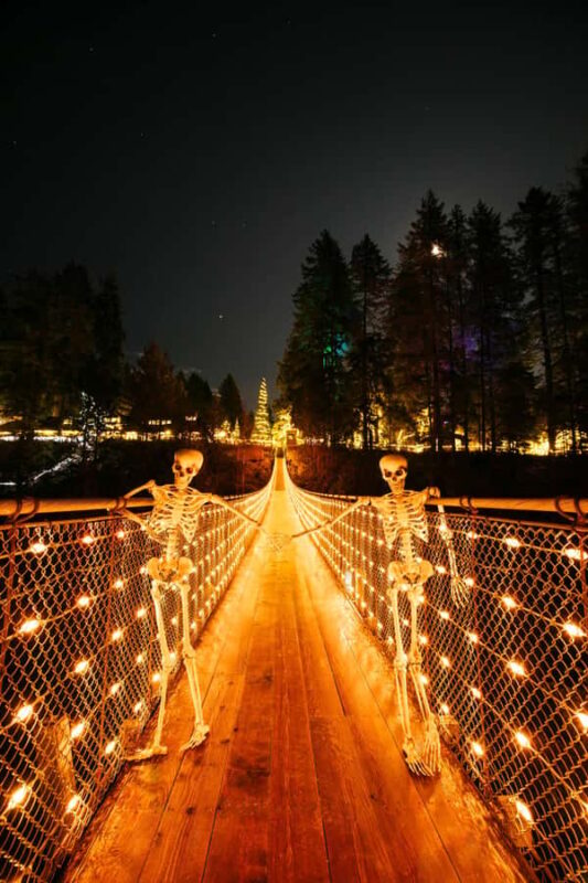 Capilano Suspension Bridge Canyon Lights & 4 Top highlights - Exploring Stanley Park’s Iconic Totem Poles and Seawall