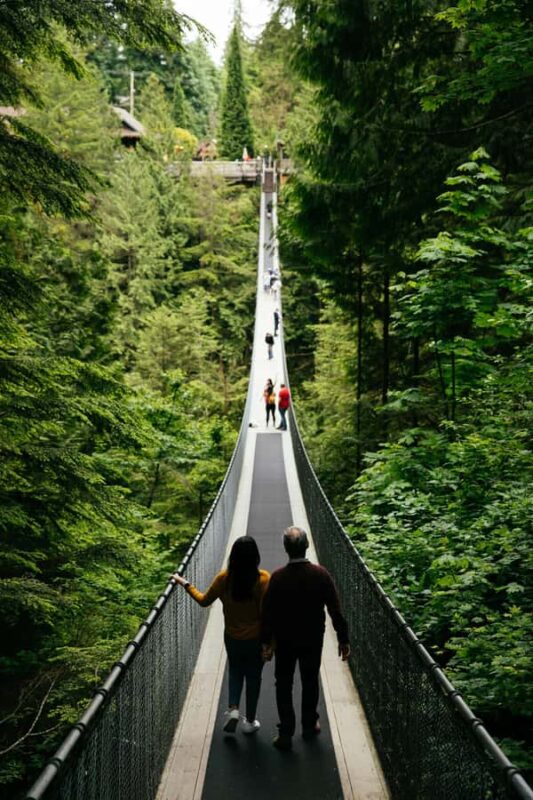 Capilano Suspension Bridge Canyon Lights & 4 Top highlights - Practical Tips for the Tour Day