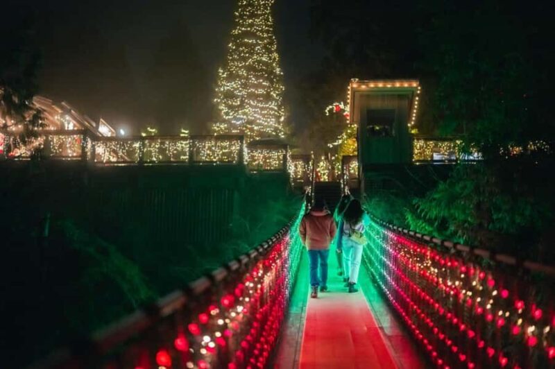 Capilano Suspension Bridge Canyon Lights Holiday Tour - Key Points