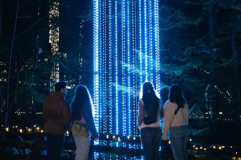 Capilano Suspension Bridge Canyon Lights Holiday Tour - Explore the Glowing Treetops Adventure and Cliffwalk