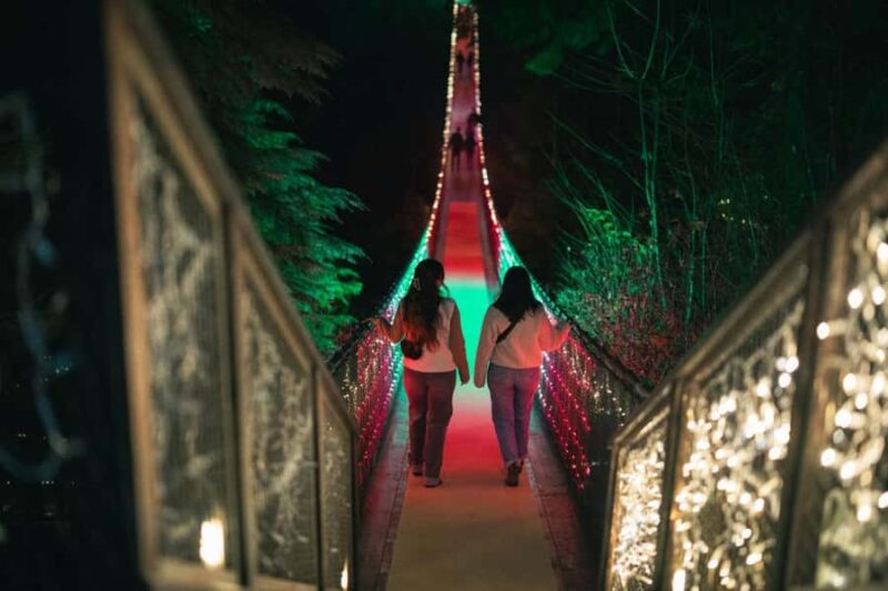 Capilano Suspension Bridge Canyon Lights Holiday Tour - Flexibility with Booking and Cancellation Options