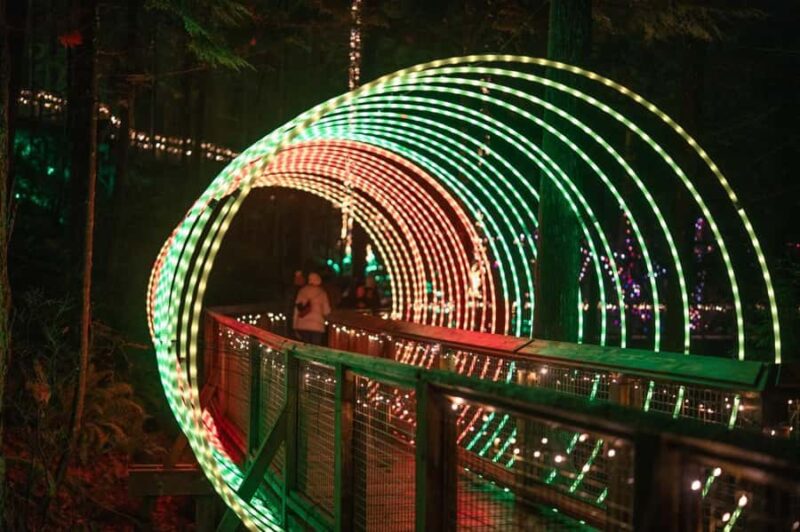 Capilano Suspension Bridge Canyon Lights Holiday Tour - Who Will Enjoy This Experience Most