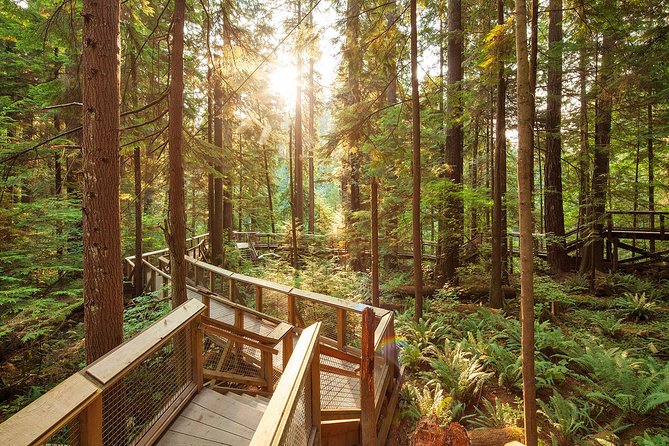 Capilano Suspension Bridge Park Ticket - Treetops Adventure: Walking Among the Forest Canopy