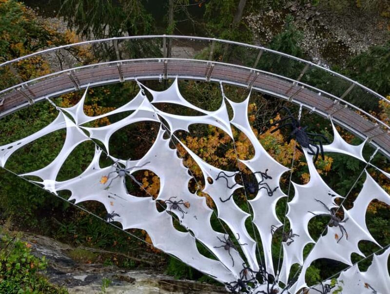 Capilano Suspension Br+Lake+Dam+Hachery/4in1/CAR/Small GROUP - Explore Vancouver’s Iconic Landmarks in a Small-Group Setting at an Unbeatable Price