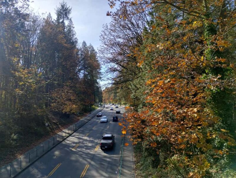 Capilano Suspension Br+Lake+Dam+Hachery/4in1/CAR/Small GROUP - Capilano Hatchery and Salmon Viewing