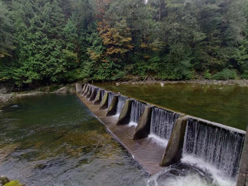 Capilano Suspension Br+Lake+Dam+Hachery/4in1/CAR/Small GROUP - Accessibility and Practical Details