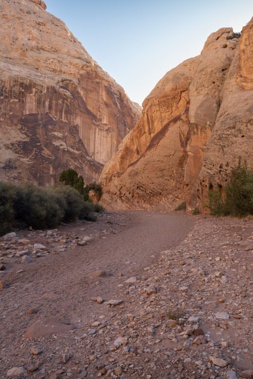 Capitol Reef Sunrise Photography Tour - Exploring Capitol Reef’s Natural Beauty and Landscape