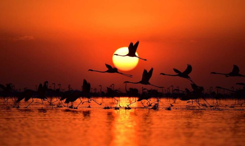 Cappadocia Amazing Sunset Tour To Salt Lake - The Sunset: Spectacular Colors and Reflections