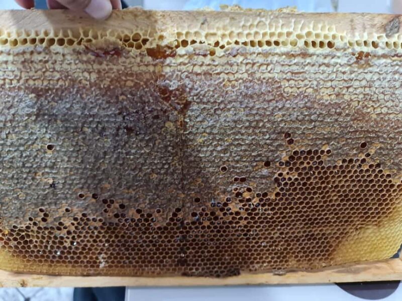 Cappadocia: Beekeeping Experience with Honey Tasting - Starting Point in Cappadocia: Convenient Pickup from Seven Locations