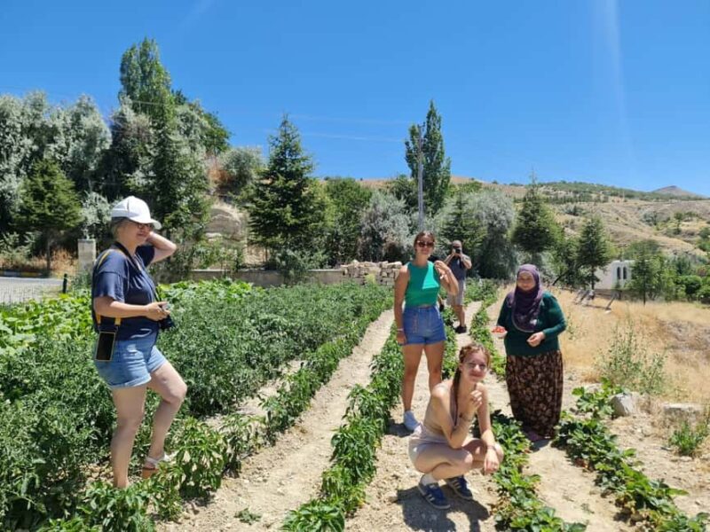 Cappadocia: Beekeeping Experience with Honey Tasting - Harvesting Fresh Honey: A Rare, Hands-On Moment