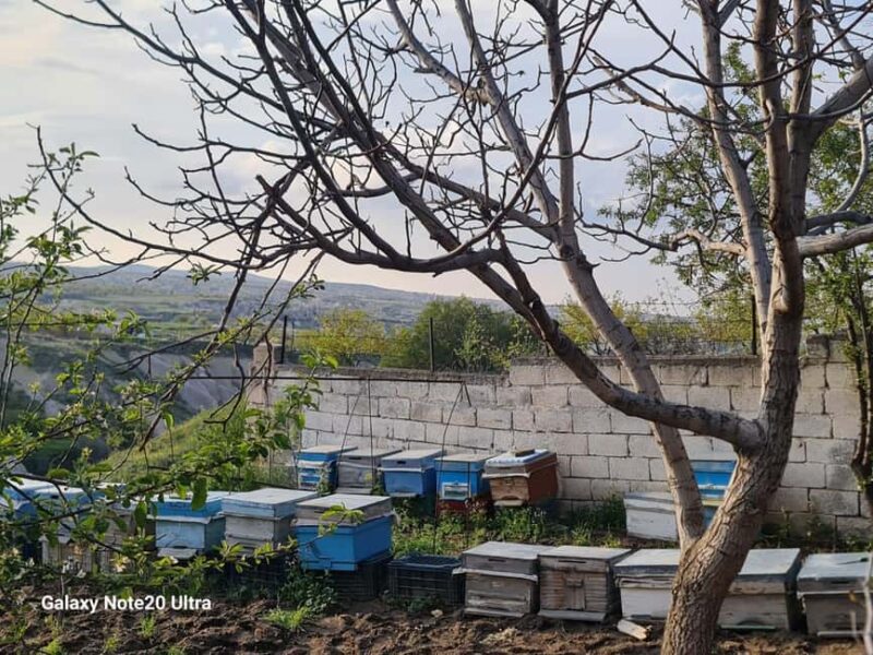 Cappadocia: Beekeeping Experience with Honey Tasting - Timing, Duration, and Group Size