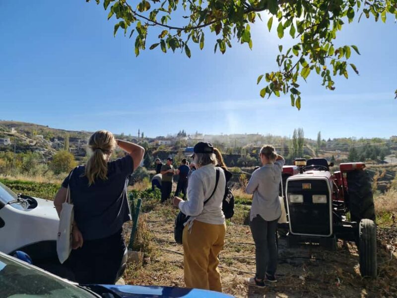 Cappadocia: Beekeeping Experience with Honey Tasting - Accessibility and Physical Considerations
