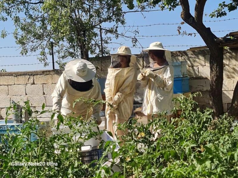 Cappadocia: Beekeeping Experience with Honey Tasting - Comparing to Other Cappadocia Experiences