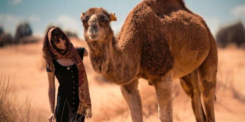 Cappadocia Camel Ride among the Fairy Chimneys - Final Thoughts: Is This Camel Ride Right for You?