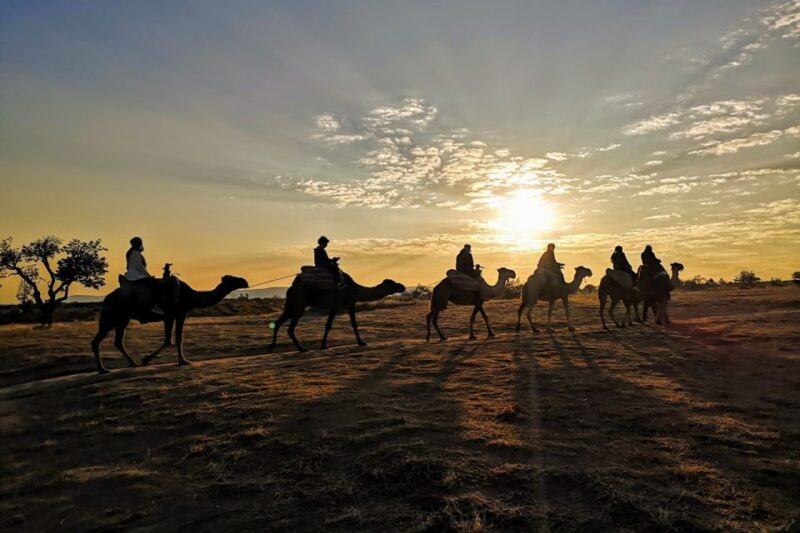 Cappadocia: Camel Safari - Weather Considerations and Safety