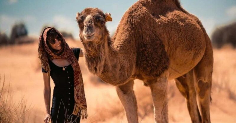 Cappadocia: Camel Safari Tour with Transfer - The Experience of Photography and Scenic Viewing