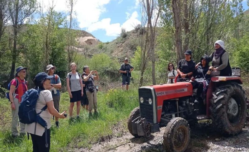 Cappadocia: Cooking Lesson in Local Cappadocia Village House - The Full Menu: From Soups to Desserts