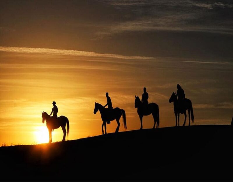Cappadocia: Fascinating Horse Riding Tour in Unique Valleys - Discovering Cappadocias Unique Valleys on Horseback