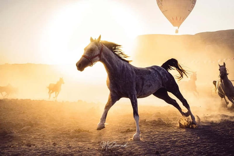 Cappadocia: Fascinating Horse Tour in Göreme Valleys - Horses and Guides Bring Cappadocia’s Legends to Life