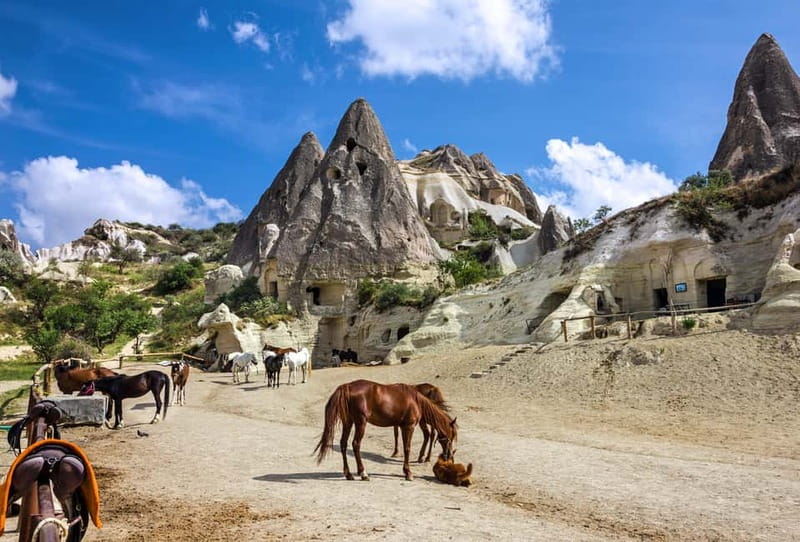 Cappadocia: Göreme Horse Riding, Fairy Chimneys w/Transfer - Cappadocia: Göreme Horse Riding, Fairy Chimneys w/Transfer – An Authentic Equine Adventure in Central Anatolia