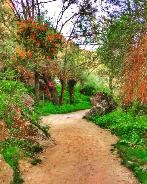 Cappadocia Green Tour - The Tours Unique Aspects and Overall Value
