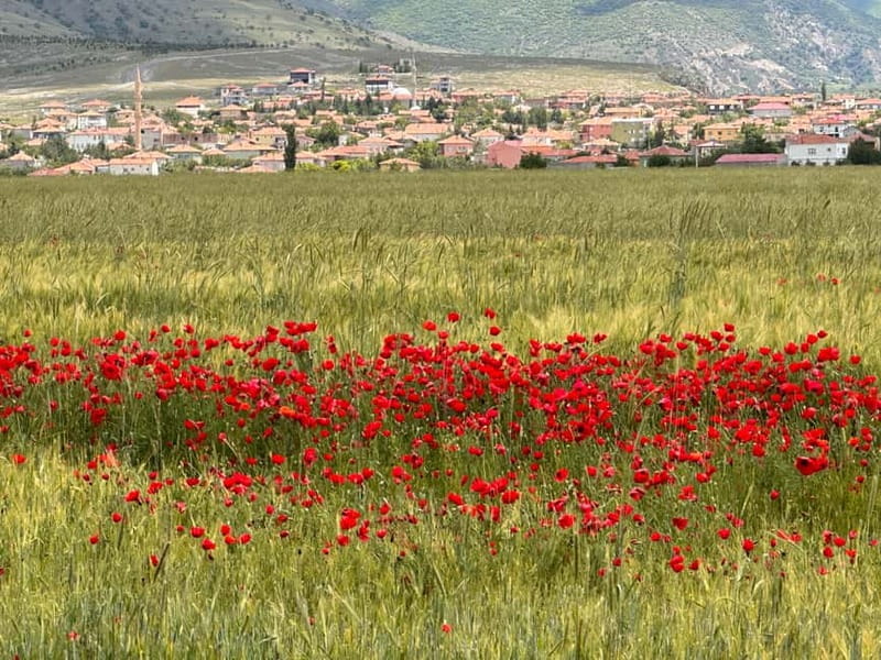 Cappadocia: Green Tour with Derinkuyu, Selime and Ihlara - Ihlara Valley: Scenic Hike and Organic Lunch