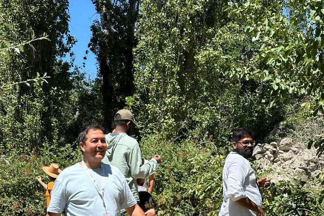 Cappadocia Green Tour Wthout Walking in Valley With Lunch,Ticket - Pigeon Valley and Its Scenic Charm