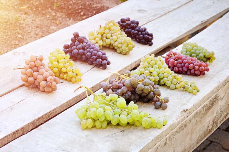 Cappadocia Half-Day Fairy Chimneys Tour with Wine Tasting - Pottery-Making Demonstration in Avanos