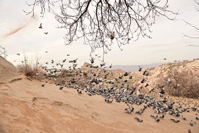Cappadocia Highlights Tour and Underground City - The Iconic Fairy Chimneys of Pasabagi Valley