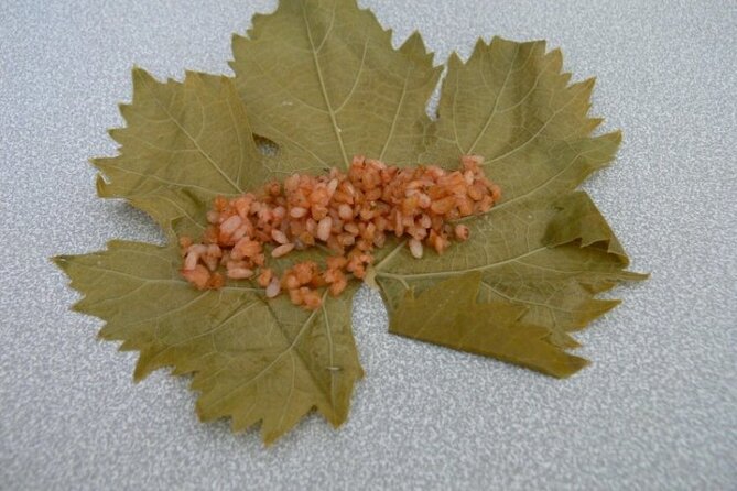 Cappadocia Home Cooking Experience - The Meals You Create and Enjoy